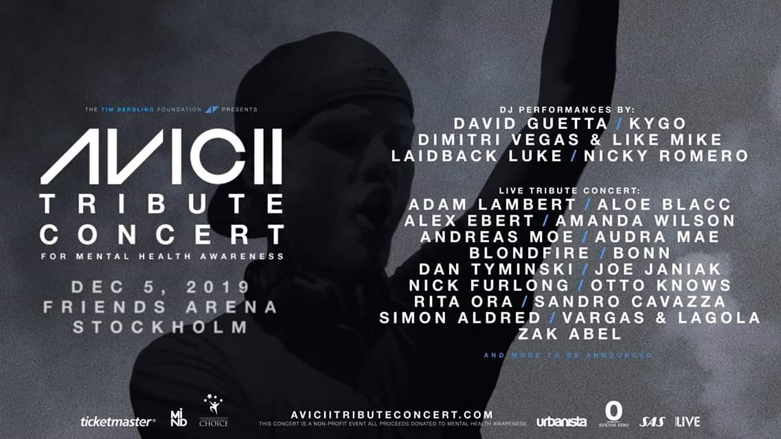 The Avicii Concert